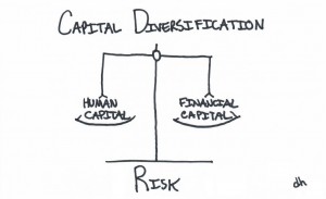 Scale balancing human and financial capital risk